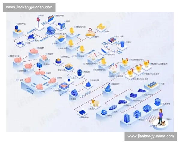 以产业链条为核心视角探讨企业发展路径与市场创新策略的深度分析 以产业链条为核心视角探讨企业发展路径与市场创新策略的深度分析