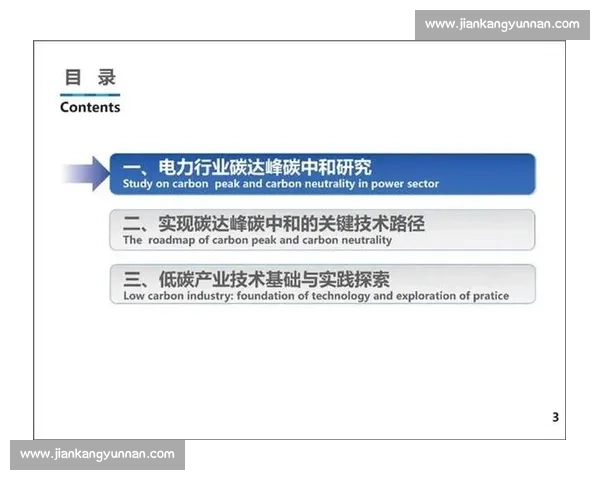 以资源控制为核心的可持续发展战略探讨与实践路径分析