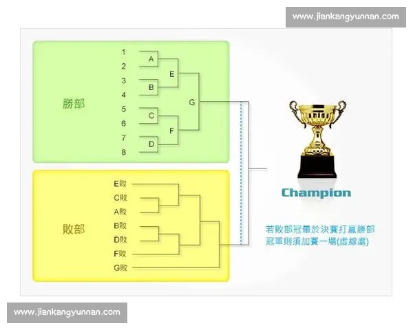 双败赛制下的竞技公平性分析与优化策略探讨