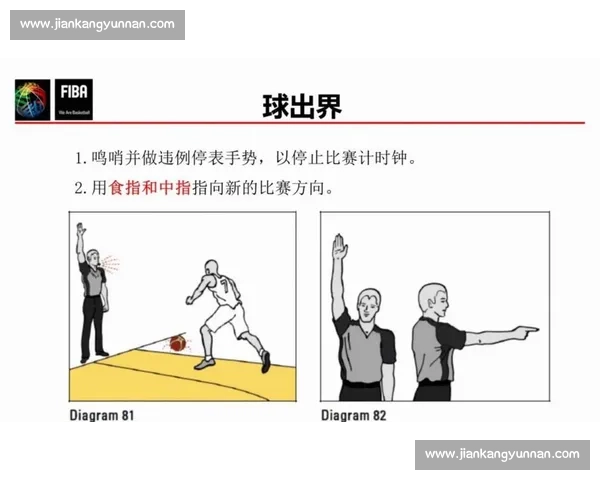 黄牌处罚标准解析与比赛中裁判判罚影响全面研究